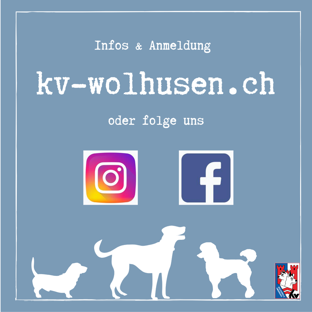 Veranstaltung Bild